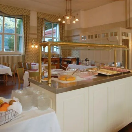 Hotel Mattenhof
