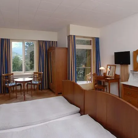 Hotel Mattenhof